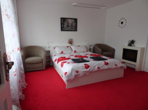 Hotels in Goeree-Overflakkee